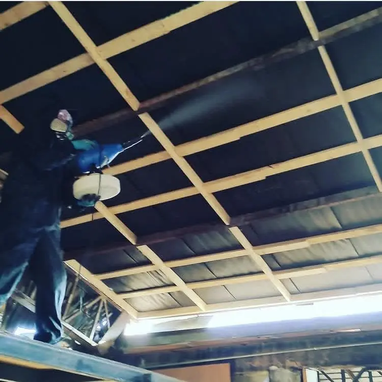 Desratización pre demolición en Padre Hurtado — técnico de FPH Fumigaciones