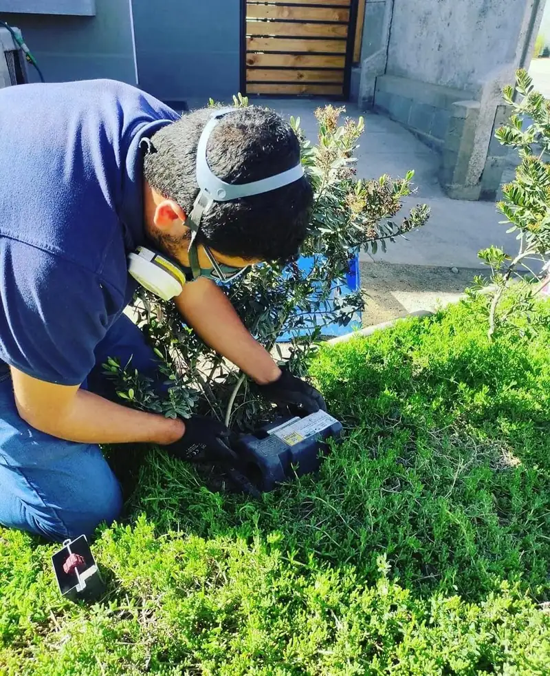 Desratización · Control de plagas certificado en Padre Hurtado Desratización en Padre Hurtado — técnico de FPH Fumigaciones