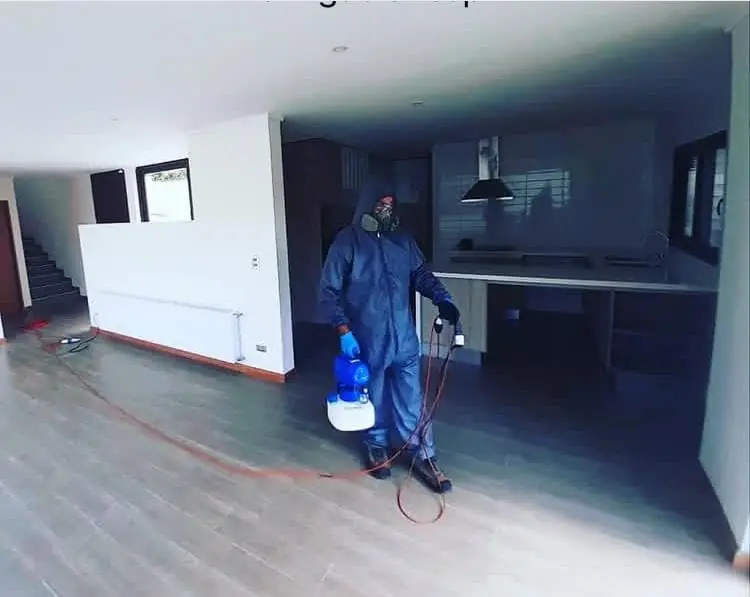 Fumigación en empresa — control de plagas en Padre Hurtado, FPH Fumigaciones